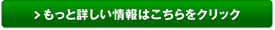 引越しラクっとNAVI販売サイトへ